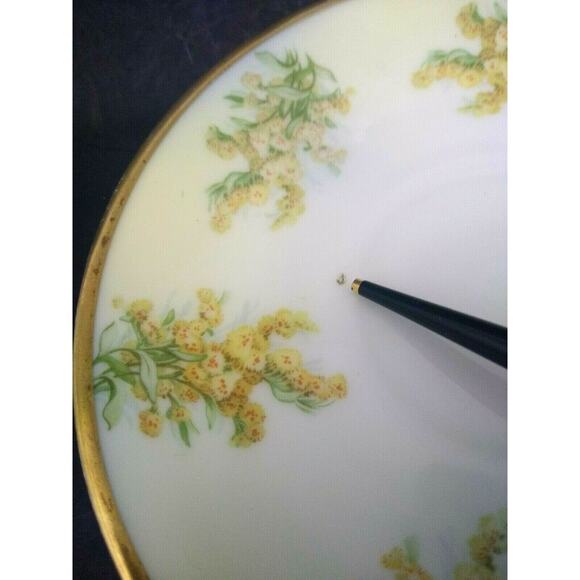 P.T. Tirschenreuth Bavaria Hand Painted Teacup and Saucer - Picture 7 of 7